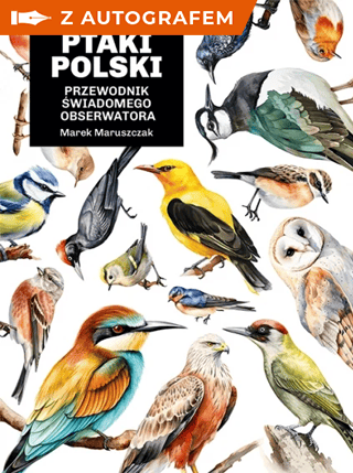 Głupie ptaki Polski. Przewodnik świadomego obserwatora - książka z autografem - Marek Maruszczak | okładka