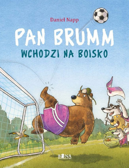 Pan Brumm wchodzi na boisko. Pan Brumm - Daniel Napp | okładka