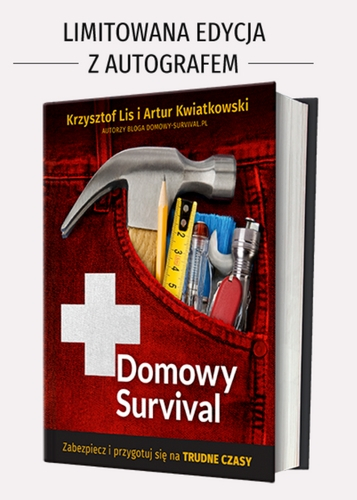 Domowy survival - Krzysztof Lis, Artur Kwiatkowski | okładka