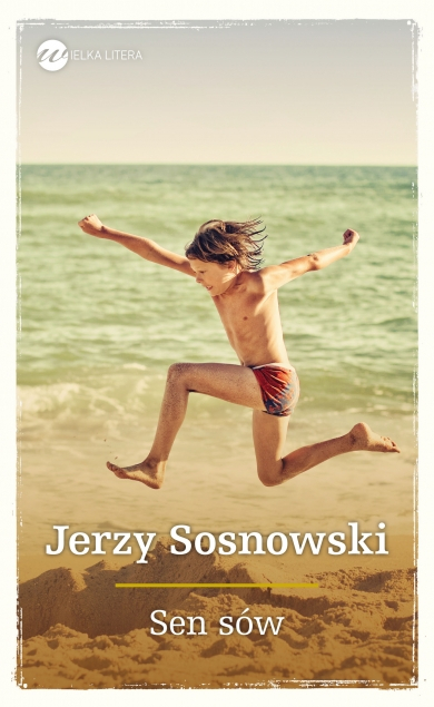 Sen sów - Jerzy Sosnowski | okładka
