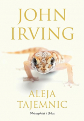 Aleja tajemnic - John Irving | mała okładka