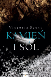 Kamień i sól - Victoria Scott | mała okładka