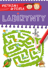 Bystrzaki do dzieła. Labirynty - | mała okładka