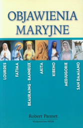 Objawienia Maryjne w świecie współczesnym - Robert Pannet | mała okładka