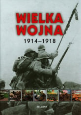 Wielka wojna. 1914-1918 - Iwona Kienzler | mała okładka