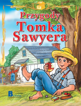 Przygody Tomka Sawyera - Jana Eislerova | mała okładka