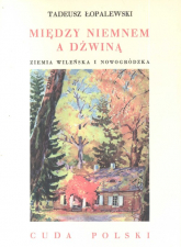 Między Niemnem a Dźwiną - Tadeusz Łopalewski | mała okładka