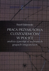 Praca przymusowa cudzoziemców w Polsce analiza zjawiska w wybranych grupach imigranckich - Paweł Dąbrowski | mała okładka