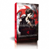 Kroniki Nicka Nieskończoność - Sherrilyn Kenyon | mała okładka