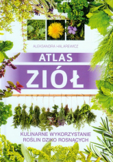 Atlas ziół Kulinarne wykorzystanie roślin dziko rosnących - Aleksandra Halarewicz | mała okładka