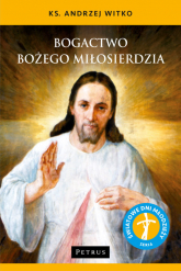Bogactwo Bożego Miłosierdzia - Andrzej Witko | mała okładka