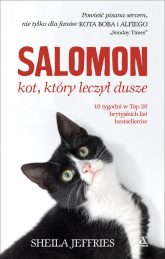 Salomon Kot, który leczył dusze - Sheila Jeffries | mała okładka