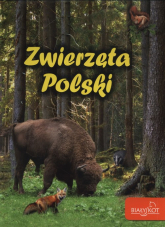 Zwierzęta Polski - Elżbieta Zarych | mała okładka