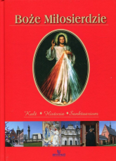 Boże Miłosierdzie Kult Historia Sanktuarium - Joanna Wilder | mała okładka