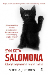 Syn kota Salomona który naprawia życie ludzi - Sheila Jeffries | mała okładka