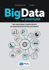 Big Data w przemyśle Jak wykorzystać analizę danych do optymalizacji kosztów procesów? - Hyunjoung Lee, Il Sohn | mała okładka
