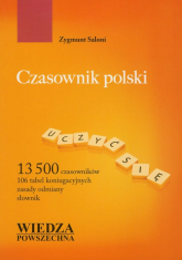 Czasownik polski - Saloni Zygmunt | mała okładka