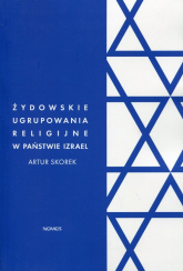 Żydowskie ugrupowania religijne w państwie Izrael Polityczna rola ortodoksyjnego judaizmu - Artur Skorek | mała okładka