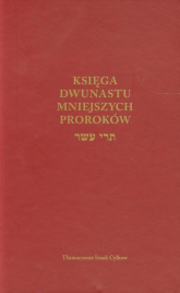 Księga Dwunastu mniejszych proroków - Izaak Cylkow | mała okładka