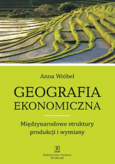 Geografia ekonomiczna Międzynarodowe struktury produkcji i wymiany - Anna Wróbel | mała okładka
