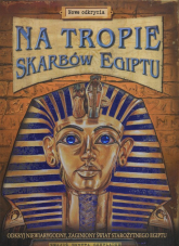 Na tropie skarbów Egiptu - Clive Gifford | mała okładka
