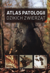 Atlas patologii dzikich zwierząt - . Forejtek Pavel, Hanzal Vladimir, Rajský Dusan | mała okładka