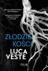 Złodziej kości - Luca Veste | mała okładka