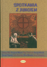 Spotkania z Jungiem - zbiorowa Praca | mała okładka