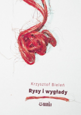 Rysy i wygłady - Krzysztof Bieleń | mała okładka