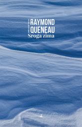 Sroga zima - Raymond Queneau | mała okładka