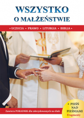 Wszystko o małżeństwie - Borek Wacław Stefan | mała okładka