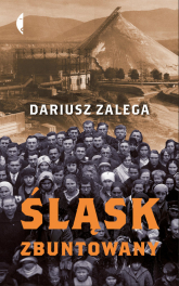 Śląsk zbuntowany - Dariusz Zalega | mała okładka