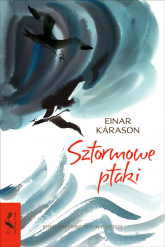 Sztormowe ptaki - Einar Kárason | mała okładka