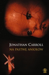 Na pastwę aniołów - Jonathan  Carroll | mała okładka