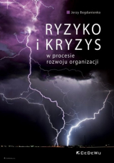 Ryzyko i kryzys w procesie rozwoju organizacji - Bogdanienko Jerzy | mała okładka