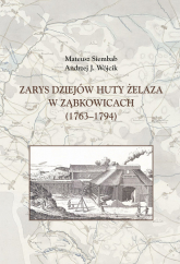 Zarys dziejów huty żelaza w Ząbkowicach (1763-1794) - Siembab Mateusz | mała okładka
