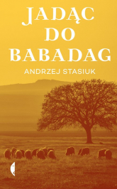 Jadąc do Babadag - Andrzej Stasiuk | mała okładka