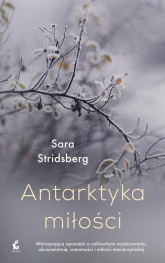 Antarktyka miłości - Sara Stridsberg | mała okładka
