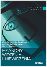 Meandry widzenia i niewidzenia - Jagiełłowicz Alina Bernadetta, Pleśniak Marcin | mała okładka