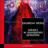 Zaklęty w szerszenim gnieździe - Jarosław Błahy | mała okładka