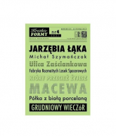 Jarzębia Łąka Krótkie Formy 4 - Michał Szymańczak | mała okładka
