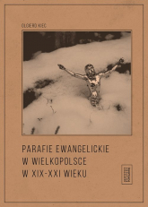 Parafie ewangelickie w Wielkopolsce w XIX-XXI wieku - Olgierd Kiec | mała okładka