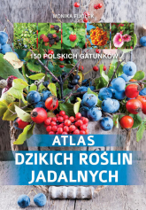 Atlas dzikich roślin jadalnych 150 polskich gatunków - Monika Fijołek | mała okładka