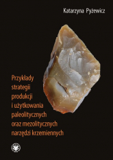 Przykłady strategii produkcji i użytkowania paleolitycznych oraz mezolitycznych narzędzi krzemiennych - Katarzyna Pyżewicz | mała okładka