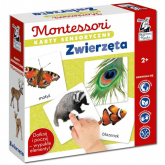 Montessori. Karty sensoryczne. Zwierzęta 2+ - Katarzyna Dołhun | mała okładka