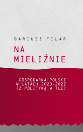 Na mieliźnie Gospodarka Polski w latach 2020-2022 (z polityką w tle) - Dariusz Filar | mała okładka