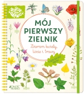 Mój pierwszy zielnik. Zbieram kwiaty, liście i trawy
 - Stefanie Zysk | mała okładka