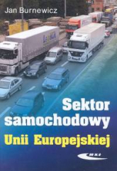 Sektor samochodowy Unii Europejskiej - Jan Burnewicz | mała okładka
