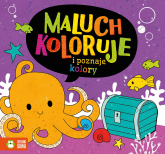 Maluch koloruje i poznaje kolory - Opracowanie Zbiorowe | mała okładka