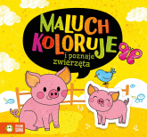 Maluch koloruje i poznaje zwierzęta - Opracowanie Zbiorowe | mała okładka